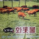 창원중동맛집 노가네화톳불 식육식당 점심특선 한우소갈비 냉면 세트 내돈내산후기