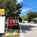 신털뫼1 이미지