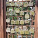 동작충효길 2코스 현충원길 이미지