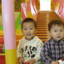 우리생활 Daum카페