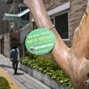 배롱나무 특화거리 이미지