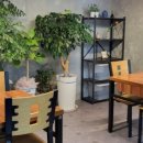 곡성-137 이미지