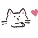 쉘카페