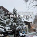 엘스위트강촌휴양콘도미니엄 | 공립 춘천숲 자연휴양림 (강원도)