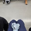 청량리동물약국(바다약국) | 11월 강릉 | 조금은 비효율적이었지만 행복해💖| 감자유원지 | 강릉 아르떼뮤지엄 | 옹막 | 강릉길감자