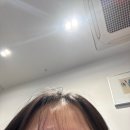 이세한의원 | 11월 영업종료