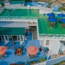 물고기 미포 이미지