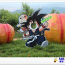 박철수농장 이미지