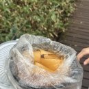 제주소풍김밥
