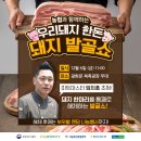 뽑기돼지 이미지