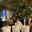 수원-0702 이미지