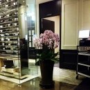 VINO(비노) 이미지