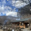 공지] [원주, 신림] 봄,여름,가을,겨울 다 예쁜 들꽃이야기/ 원주 신림카페 들꽃이야기/ 원주최애카페 후기