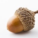 도토리한의원 이미지