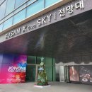 해운대박사부동산중개법인 | 해운대 LCT 전망대 X the SKY 구경 다녀왔어요