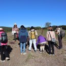 머체왓숲길영농조합 이미지