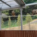 경기도 야생동물 구조관리센터 이미지