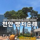 다미로띠 | 천안여행 중 꼭 가봐야 할 빵집 빵빵데이 빵지순례단 후기 (다미로띠 천안본점 태극당 호두과자 천안점)