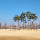 인라인스케이트장 앞 이미지