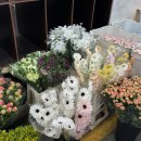 가나안 테크 이미지