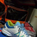 스파이크밸런스 이미지