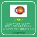 위례미소안경 이미지