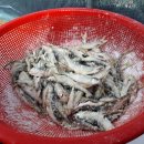 태순농장 이미지