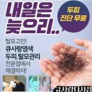큐사랑 대명점