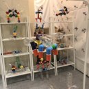 대림중학교 이미지