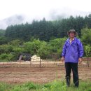 흑송농장 이미지