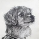 연필화 & 팝아트 이미지