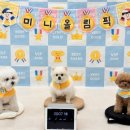 개러리아 이미지