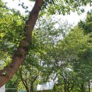 세창짜임아파트경로당 네이버블로그