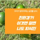 국립농산물품질관리원 제주지원 서귀포사무소 네이버블로그