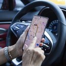 대성자동차나라 이미지