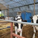 계양축산 이미지