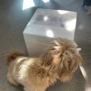 갑순이네 과자점 이미지