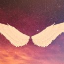 산정체육공원 | 부산 봄꽃전시회 + 화지산~쇠미산