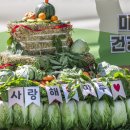에버마루 이미지