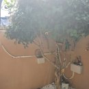 울산민박 이미지