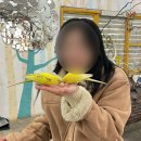 애월화실 | 눈보라치는 1월의 제주 (3) : 동물들 먹이주고, 커피에 3만원을 쓰고, 빈티지 소품샵 쇼핑하고, 또 오고...