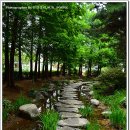 징검다리 이미지