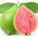 8 Health Benefits of Guava Fruit and Leaves 이미지