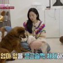 전진도장