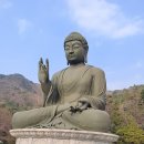 조화불교사 이미지