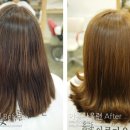 아름다울련 네이버블로그