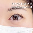 소보로 | 이천 속눈썹펌 잘하는곳 하이닉스 앞 샵소보로 후기
