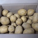 혜성환경 | 포슬포슬 맛있는 혜성 수미감자 5kg로 만든 집밥 이야기