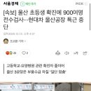 [속보] 울산 초등생 확진에 900여명 전수검사···현대차 울산공장 특근 중단 이미지