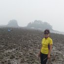 조개체험장  대죽 이미지